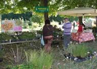 Mostra-mercato Vanzo Floreale 2010